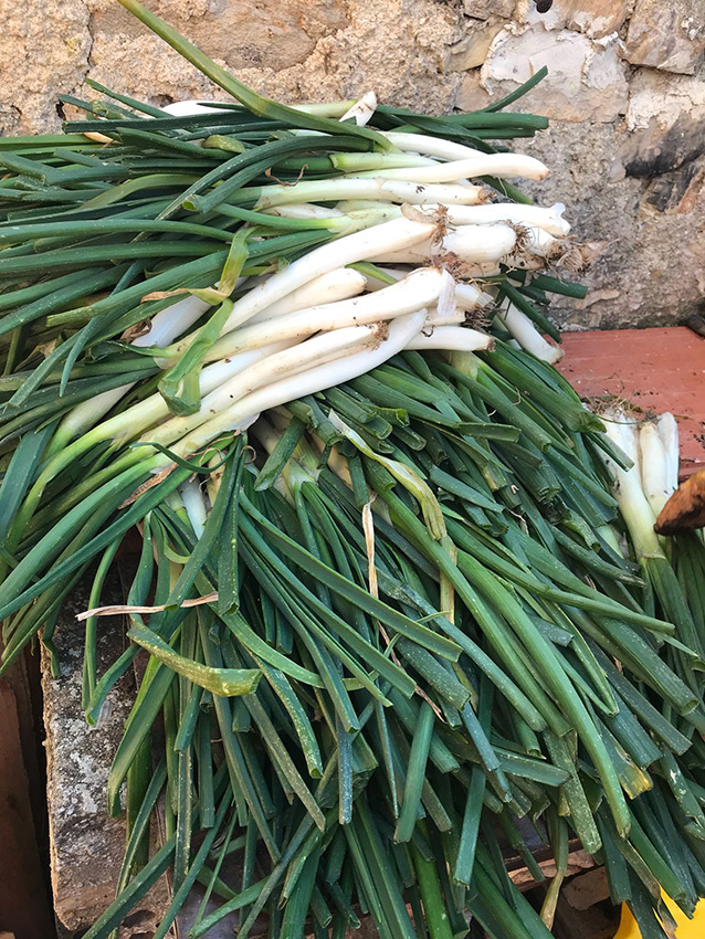 10 Calcotata 2018